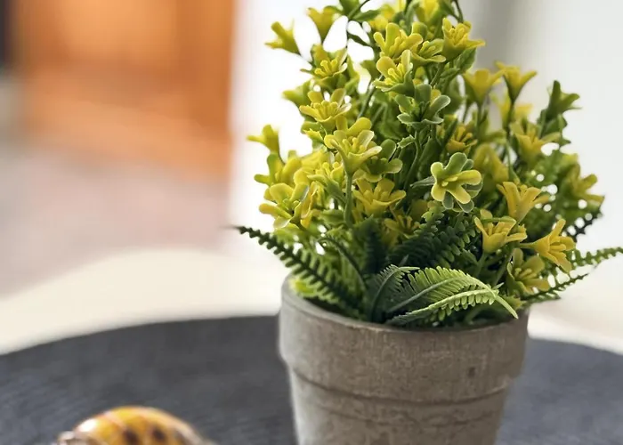 Heart Of Americas Charming Tenerife 아파트 아데제