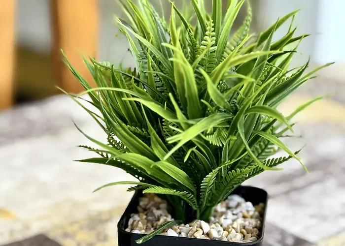 Heart Of Americas Charming Tenerife 아파트 *